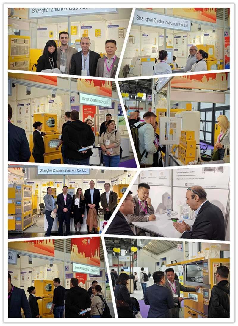 ZHICHU’s Journey To The World ZHICHU’s Journey To The World