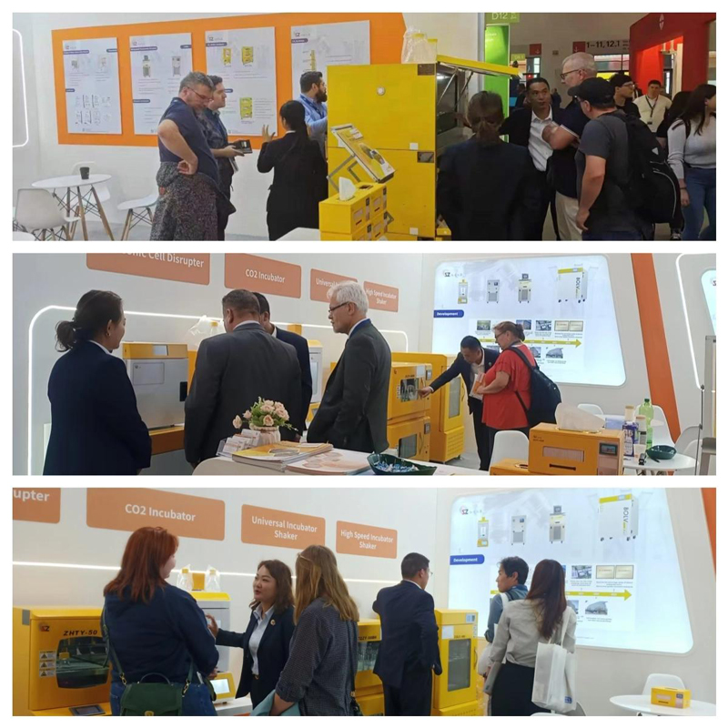 ZHICHU’s Journey To The World ZHICHU’s Journey To The World