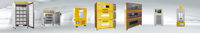 ZHICHU’s Journey To The World ZHICHU’s Journey To The World