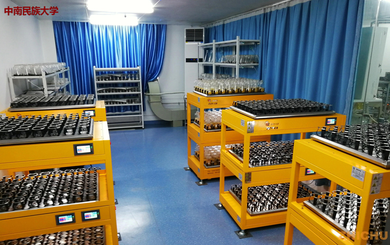 Constant Temperature Shaking Incubator For Microorganism Cultivation Constant Temperature Shaking Incubator For Microorganism Cultivation
