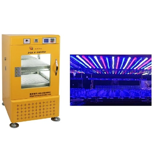 How To Prevent Contamination In The Cell Culture Process How To Prevent Contamination In The Cell Culture Process