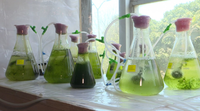 General Lab Equipment in Industry & Environmental Protection