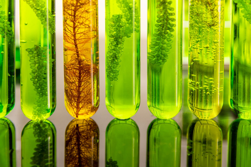 General Lab Equipment in Industry & Environmental Protection