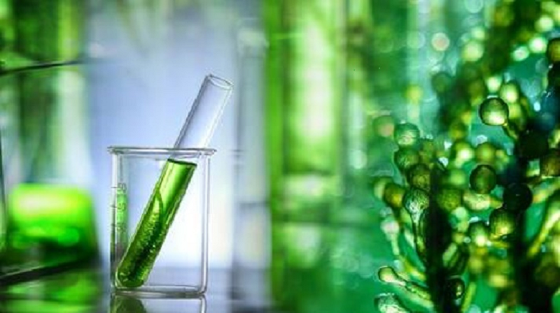 General Lab Equipment in Industry & Environmental Protection